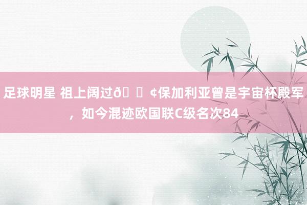 足球明星 祖上阔过😢保加利亚曾是宇宙杯殿军，如今混迹欧国联C级名次84