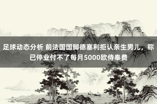 足球动态分析 前法国国脚德塞利拒认亲生男儿，称已停业付不了每月5000欧侍奉费