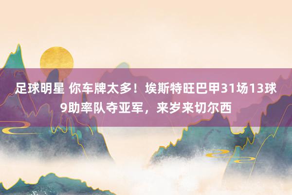 足球明星 你车牌太多！埃斯特旺巴甲31场13球9助率队夺亚军，来岁来切尔西